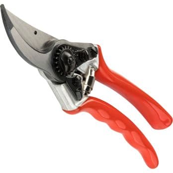 Foto: Felco 11 Classic Gartenschere